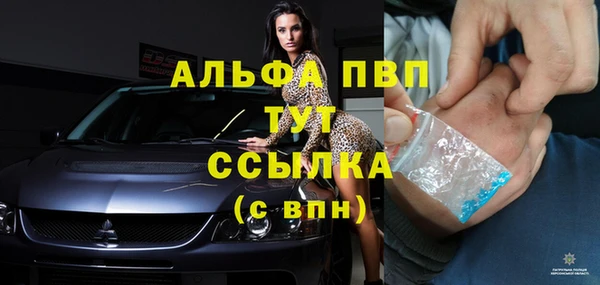 крисы Мурманск