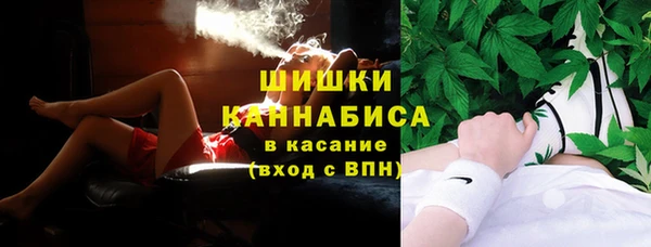 твердый Ладушкин