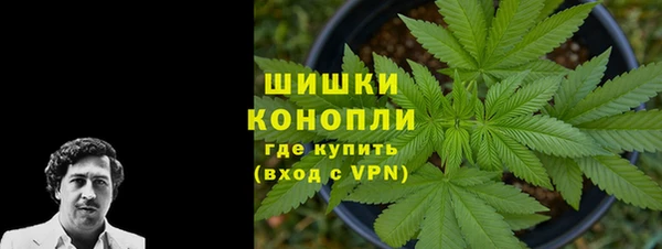 твердый Ладушкин