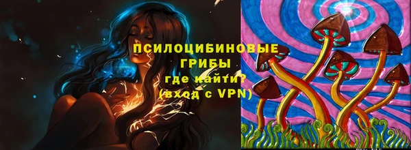 твердый Ладушкин