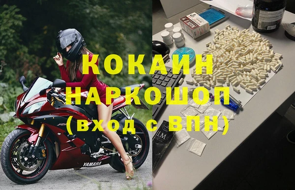 твердый Ладушкин