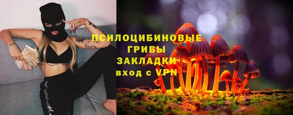 2c-b Лагань